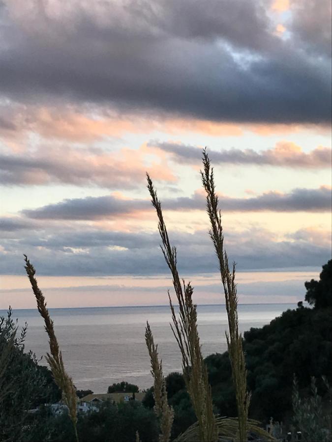Asaya Hills Villas Parga Bagian luar foto